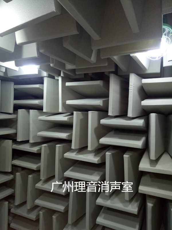 玉环消音室1_副本.jpg